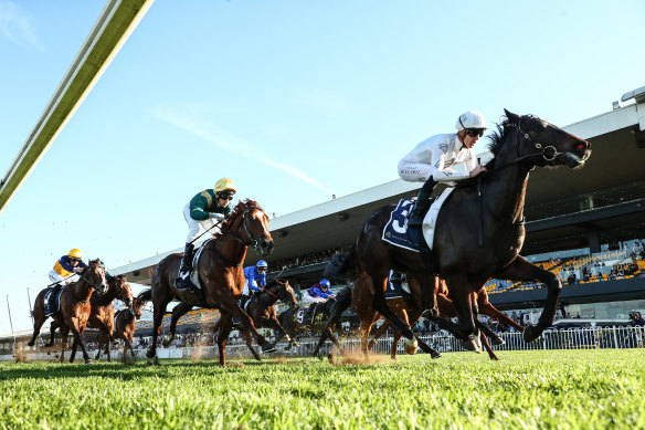 Chad Schofield rides Libertad to victory in the San Domenico Stakes at Rosehill Gardens.