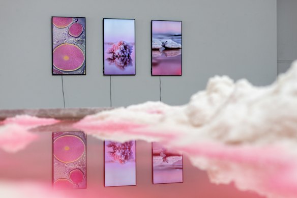 The Pool of Content exhibition at Fremantle Biennale. 