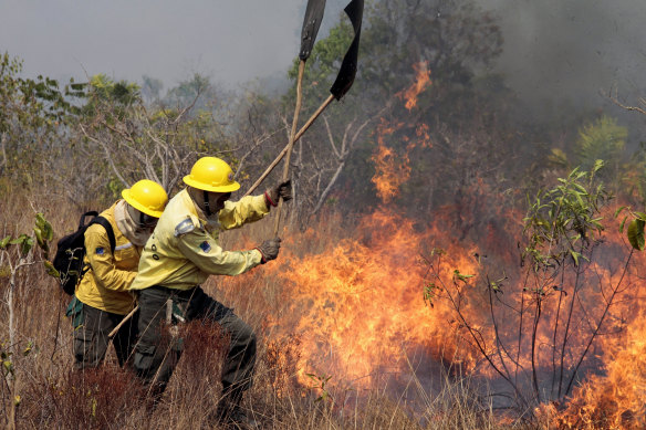 Members of the the National Centre to Prevent and Combat Forest Fires fight a fire in the Xingu Indigenous Park in Mato Grosso in Brazil.
