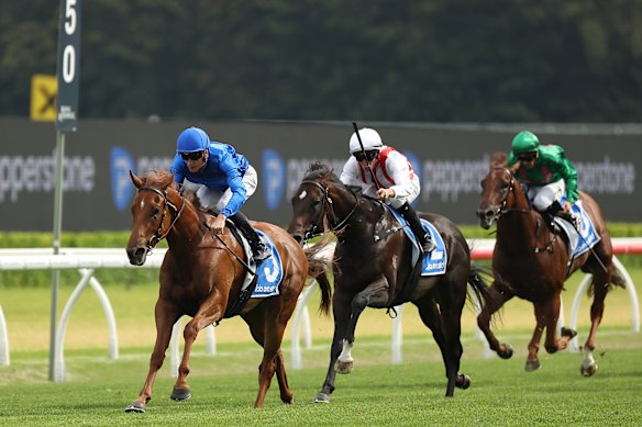 Napoleônico correndo em segundo lugar para tentar as Estacas do Príncipe Esquimó.