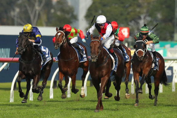 Grebeni races clear for one of his wins at Rosehill during his winter hat-trick.