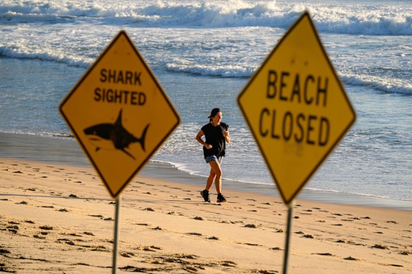 As praias de Manly a Palm Beach permanecem fechadas nas praias do norte.