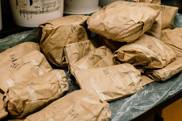 Leaves, debris and soil from different plots packed into brown paper bags. In the lab, the material is dehydrated to calculate how much carbon it contains.