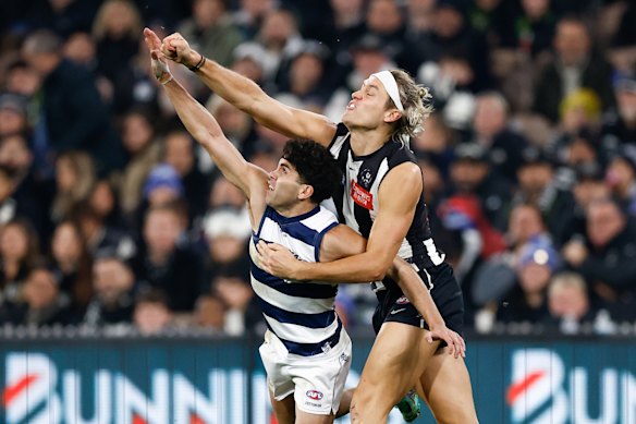 Darcy Moore of the Magpies and Tyson Stengle of the Cats compete for the ball .