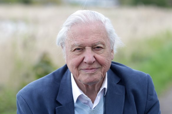 Sir David Attenborough going for his ton