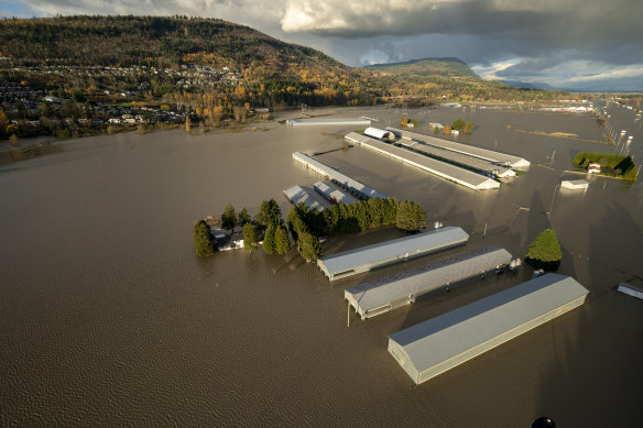 Rising flood waters surround barns in Abbotsford, British Columbia