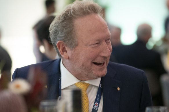 Andrew Forrest is delighted with the federal budget.