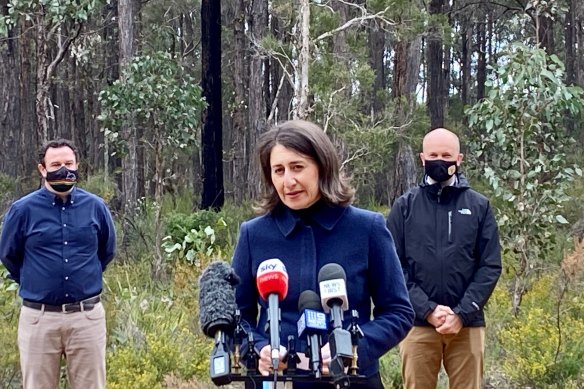 Premier Gladys Berejiklian, Minister for Energy and Environment Matt Kean and Minister for Western Sydney Stuart Ayres at the daily COVID-19 briefing on Sunday.