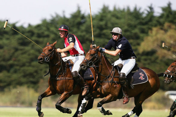 Horses are in the blood for Gillon McLachlan, pictured at right, racing for the ball in a 2007 The Age Polo International match.