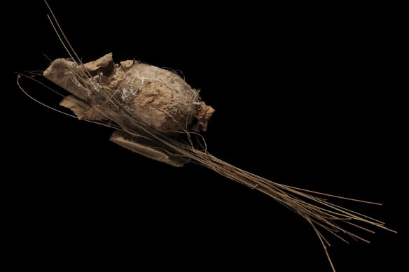 The nest of a golden-headed cisticola found in subruban Dee Why, Sydney.
