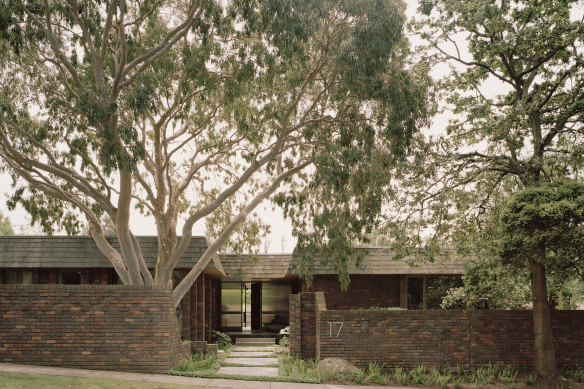 A portion of the brick fence has been tapered to allow the beauty of an established gum tree to be fully expressed.