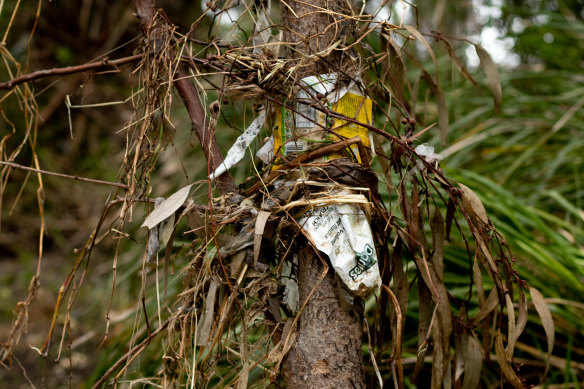 Rubbish along the Merri Creek.