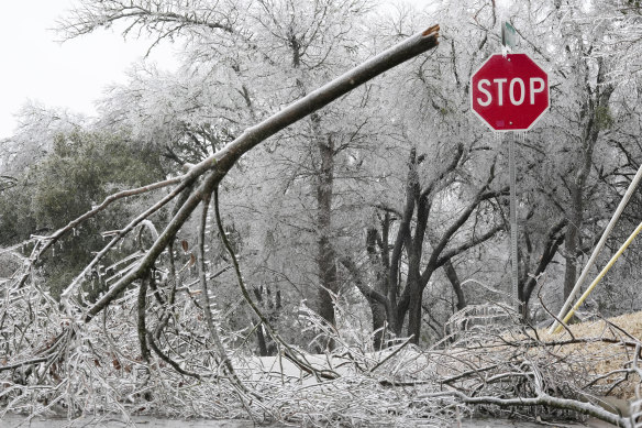 A fallen tree blocks part of a street in Austin, Texas, during a winter storm.