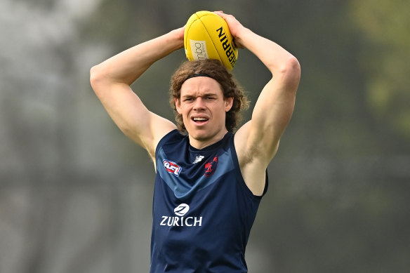 Demons forward Ben Brown is part of an ongoing debate about the team’s forward set-up.
