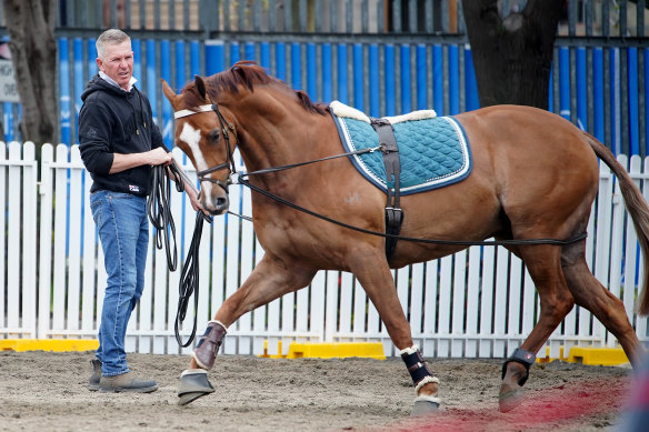 Some equestrian events have begun at Melbourne Royal.