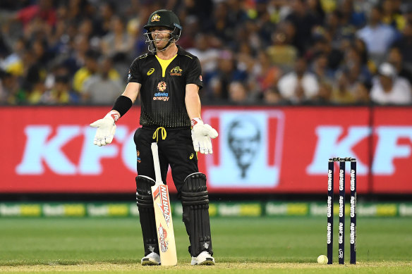 David Warner reacts after the ball hit  the stumps but did not dislodge the bails.
