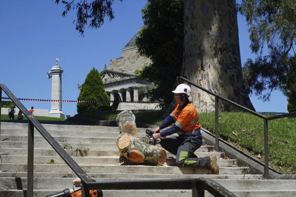 Emergency workers remove a branch that fell near the Shrine of Remembrance on Tuesday, injuring two people.