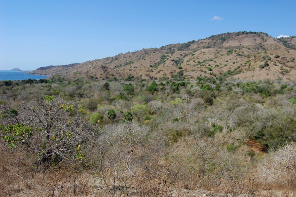 The island’s arid landscape.