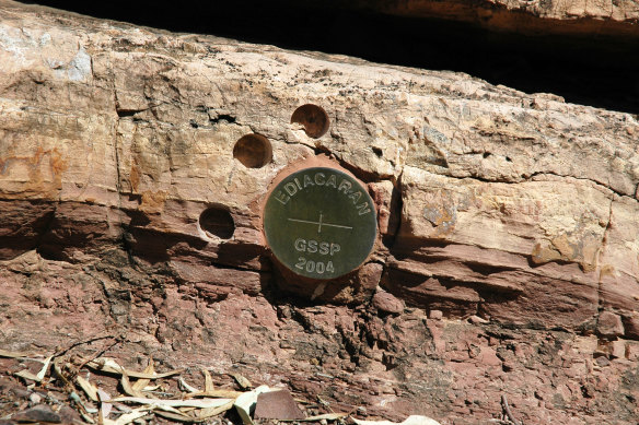 Australia hosts the Southern Hemisphere’s only golden spike, which is hammered into rock layers in the Flinders Ranges to demarcate the end of the Cryogenian Period and the start of the Ediacaran Period.