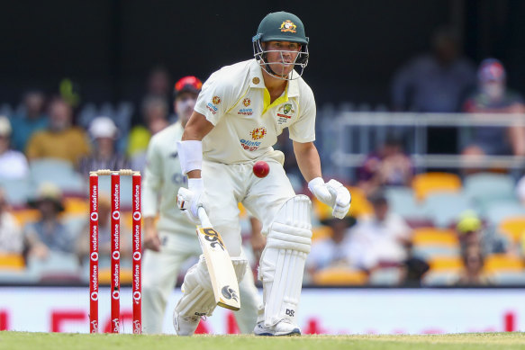 David Warner has badly bruised ribs, but has been cleared of a break.
