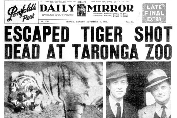 The Daily Mirror front page the day the tiger escaped its pen in 1946.