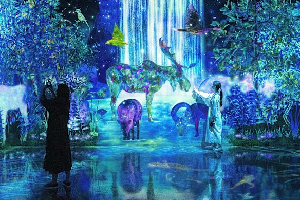 teamLab Forest’s colourful animal displays.