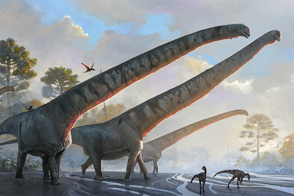 An impression of Mamenchisaurus sinocanadorum.