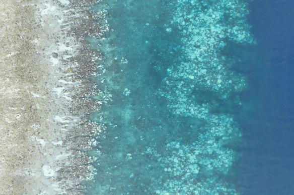 Bleaching evident from above on Eyrie Reef in the northern Great Barrier Reef.