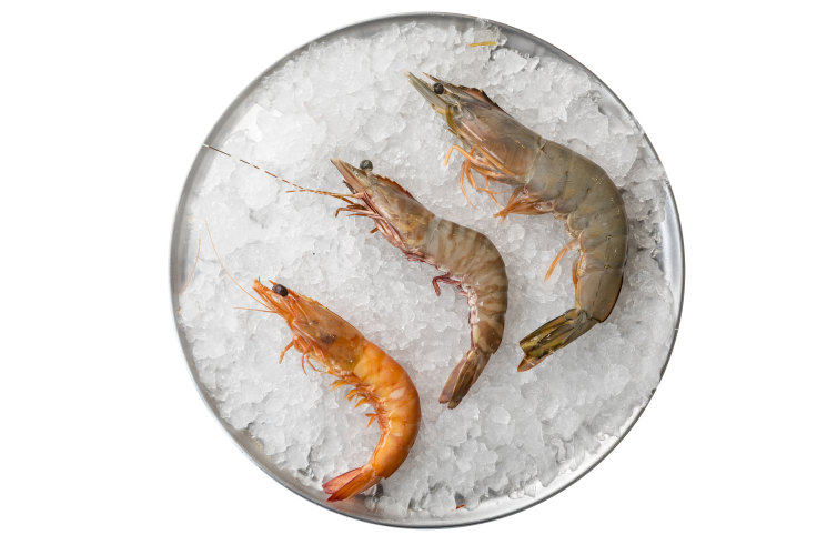 Seafood How Sustainable Are Your Christmas Prawns