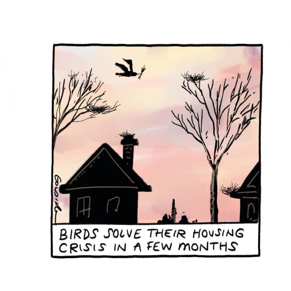 Empty nest.