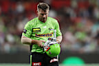 David Warner has asked for leniency, but has accepted he should be sentenced as a regular citizen.