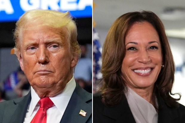 Kamala Harris Donald Trump: Harris leads Trump in US presidential race ...