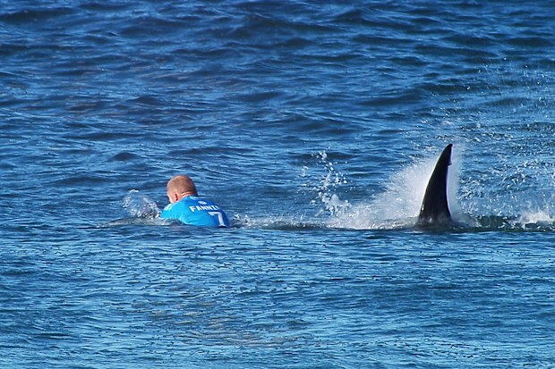 In this screen grab from footage by the World Surf League, Mick Fanning of Australia  is attacked by a Shark at the Jbay Open on July 19, 2015 in Jeffreys Bay, South Africa. (Photo by WSL/World Surf League via Getty Images)