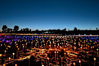 The Field of Light first came to life in 2016.
