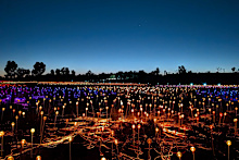 The Field of Light first came to life in 2016.