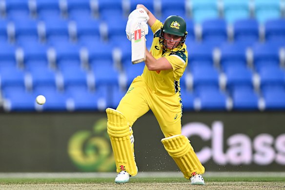 Cricket gods smile on Alyssa Healy, who smashes 158 in ODI farewell