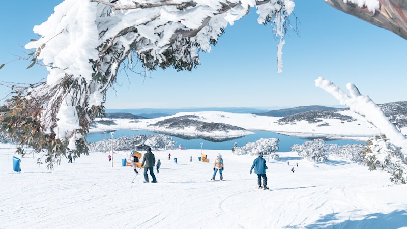 I come from a family of sun chasers. But this trip made us fall for winter holidays