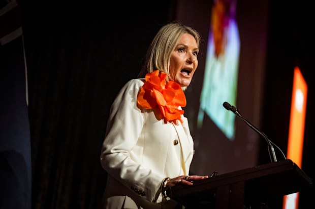 One Nation candidate Colleen Harkin speaks to the party faithful at the Victorian State campaign launch on October 3.