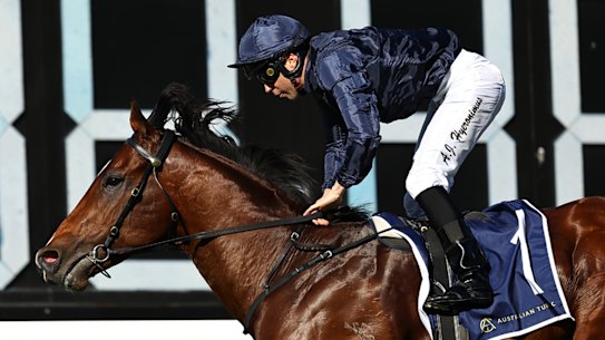 Storm Boy could make the speed in The Everest.