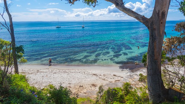 White sand meet turquoise shore at Shark Net Beach, Huskisson.