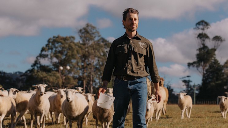 smh.com.au - Josephine Grieve - 'Is this what you really want to be doing?' Why one man left the city for life on a sheep farm