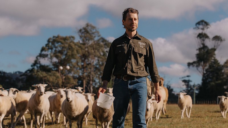 ‘Is this what you really want to be doing?’ Why one man left the city for life on a sheep farm