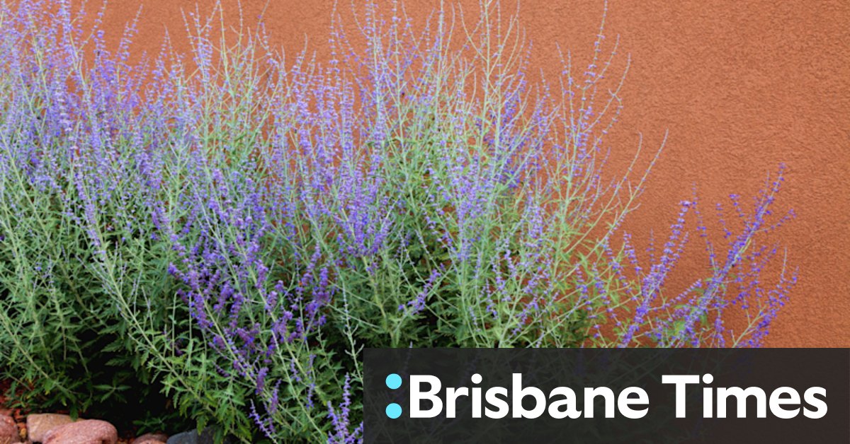 Gardening tips: What to plant in summer - Vimarsana News