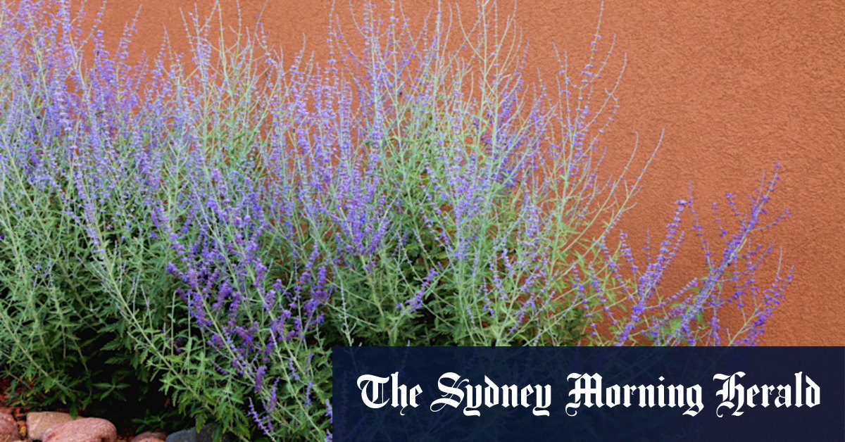 Gardening tips: What to plant in summer - Vimarsana News