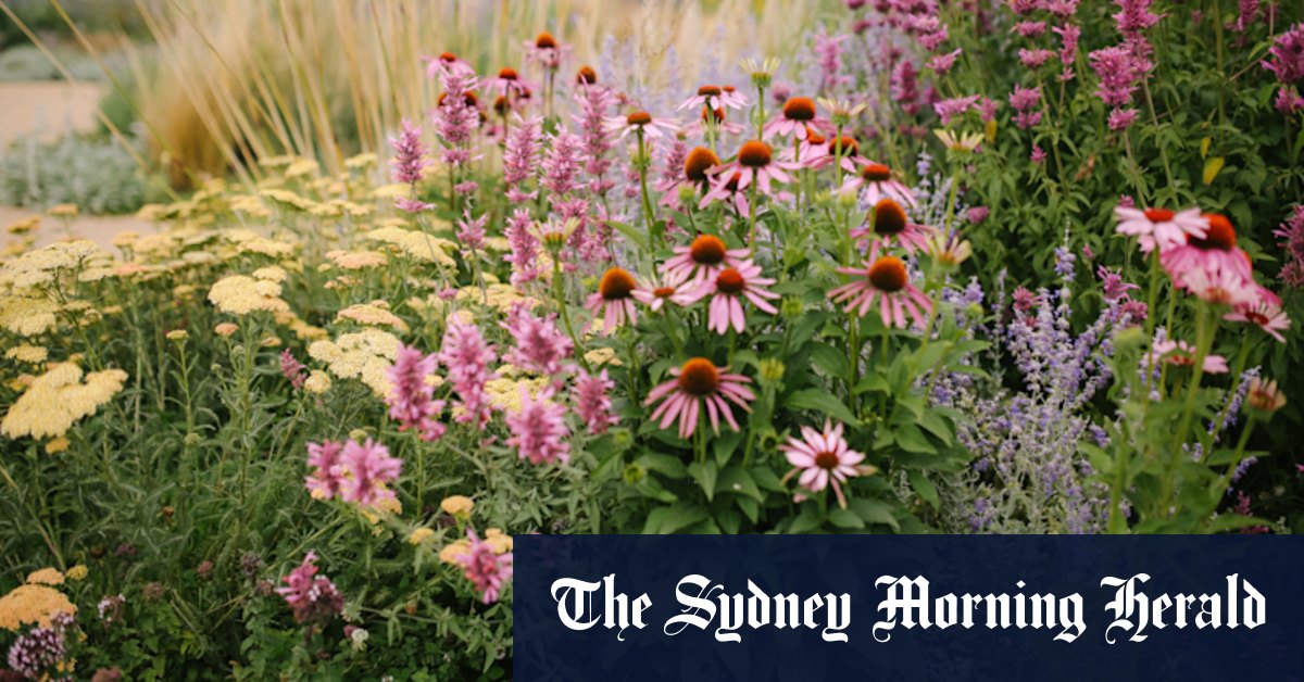 Using happy memories to create a happy garden? It actually works - Vimarsana News