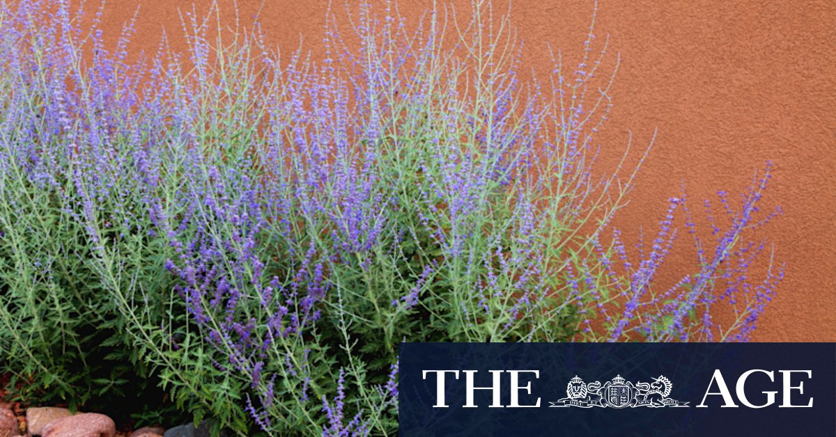 Gardening tips: What to plant in summer - Vimarsana News