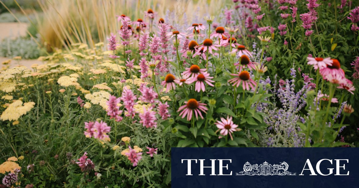 Using happy memories to create a happy garden? It actually works - Vimarsana News
