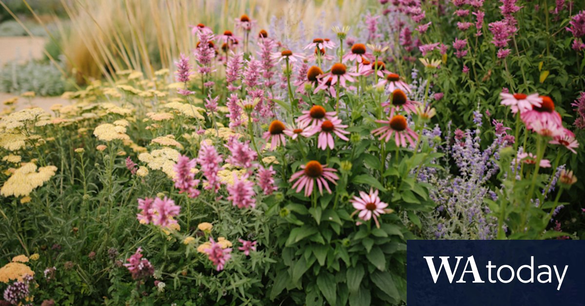 Using happy memories to create a happy garden? It actually works - Vimarsana News