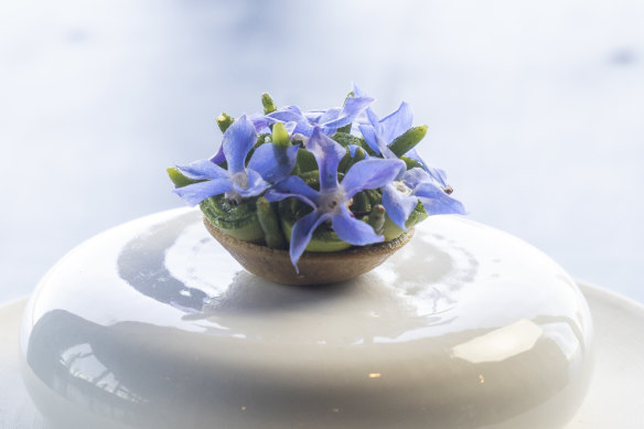 The borage-bedecked avocado tart tastes like something fairies would serve at the summer solstice.