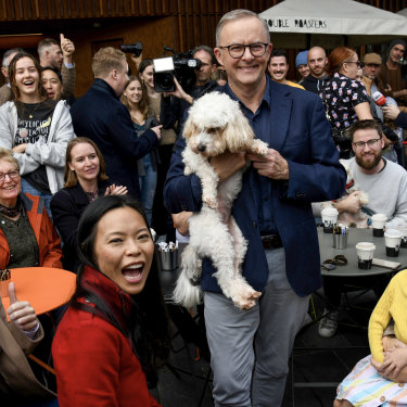 The morning after the election night before: Prime Minister Anthony Albanese with Toto and well-wishers at the Marrickville Library.